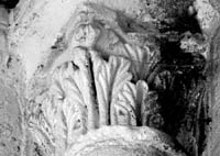 files/capitals/SANTEU-P/thumbs/SANTEU-P 031.jpg